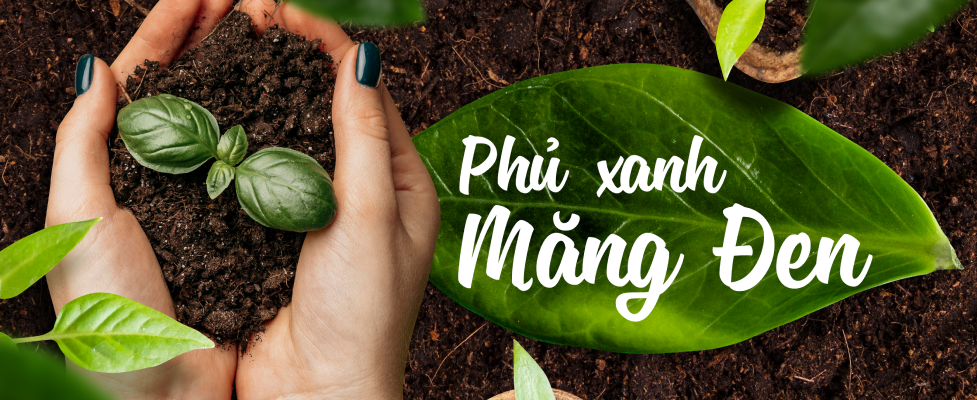 CHIẾN DỊCH PHỦ XANH MĂNG ĐEN