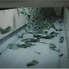 Cắt và loại bỏ